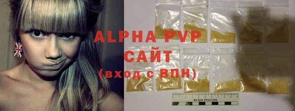 индика Абаза