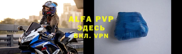 индика Абаза