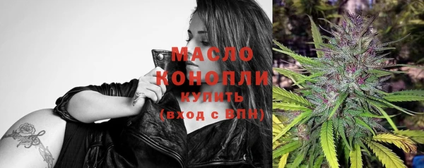 индика Абаза