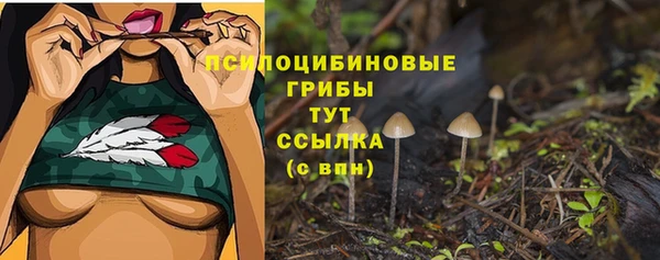 МДПВ Слюдянка